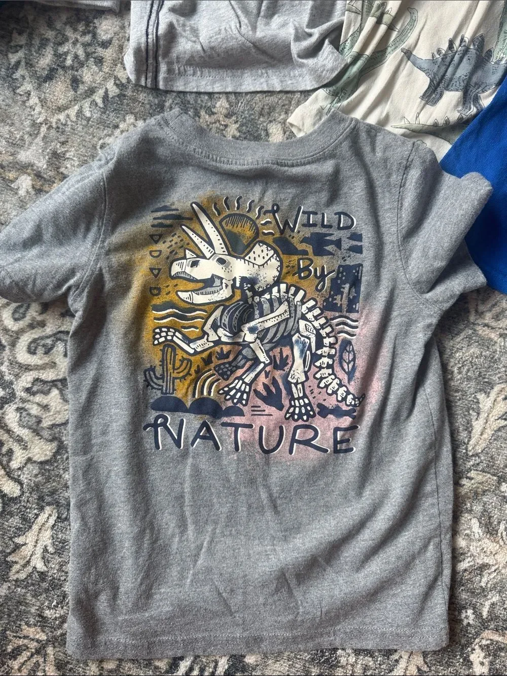 Bundle of 15 Toddler Boys Tops